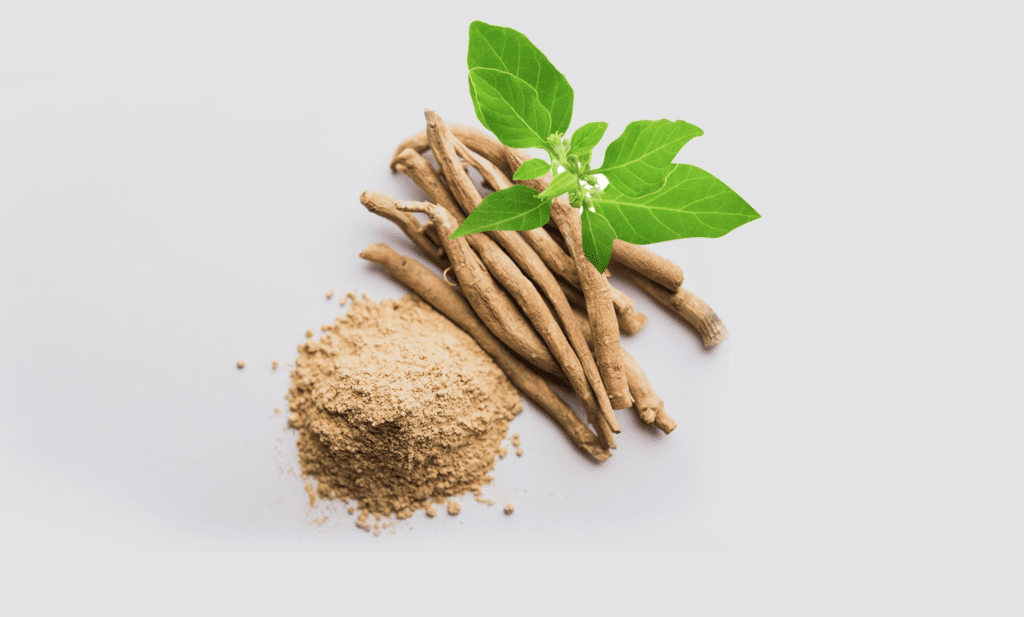 5 Scientifically Proven Health Benefits of Ashwagandha