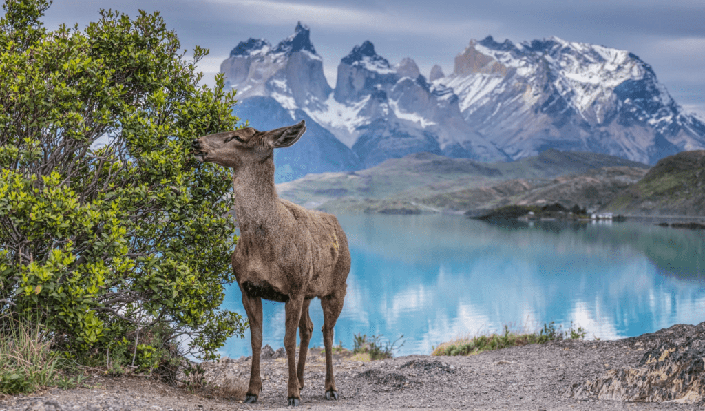 The Most Stunning National Parks in the World You Need to Visit