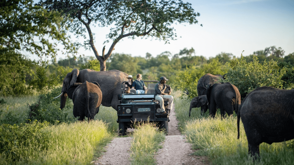 The Most Stunning National Parks in the World You Need to Visit