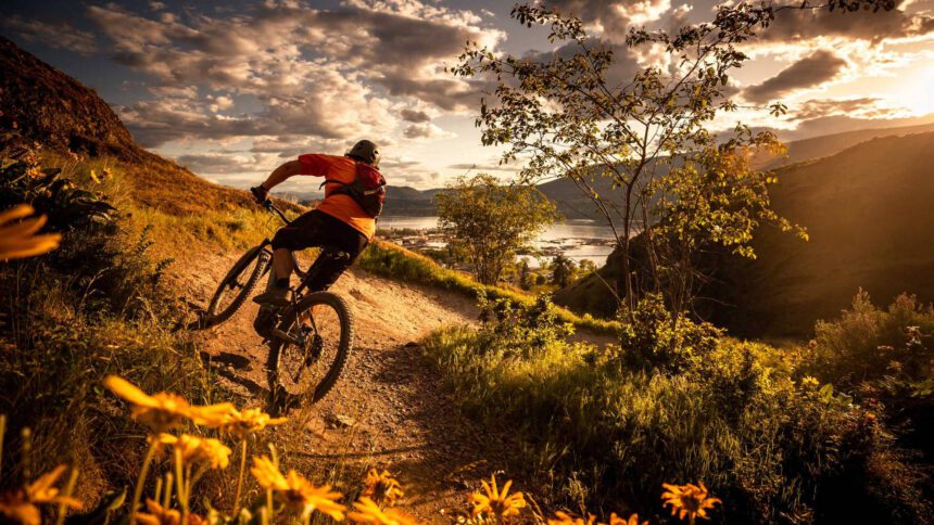 Best MTB Bicycles in India: Ride the Trails Like a Pro